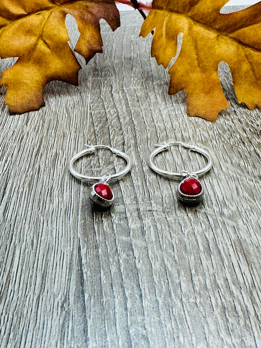 Silver Hoops Earrings E-141