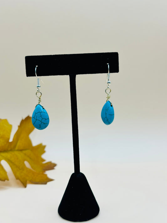 Turquoise drop Earrings E-297